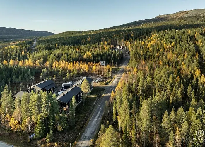 Levin Lyhty Cia C1 By Hilla 基蒂莱