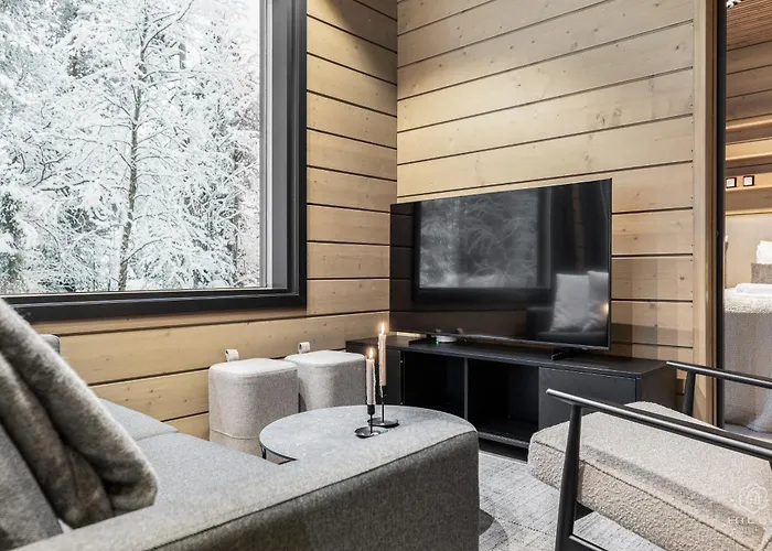 Appartement Levin Lyhty Cia C1 By Hilla